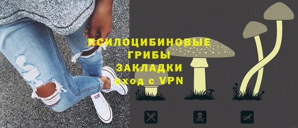 таблы Ладушкин