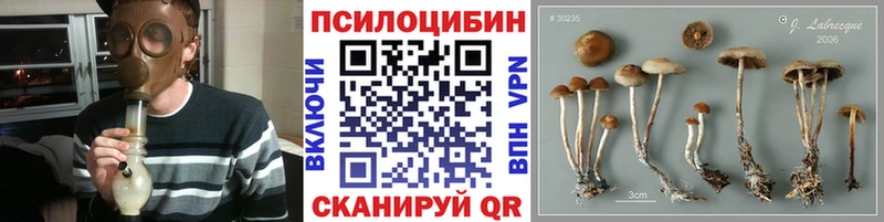mega онион  Апшеронск  Галлюциногенные грибы Magic Shrooms 