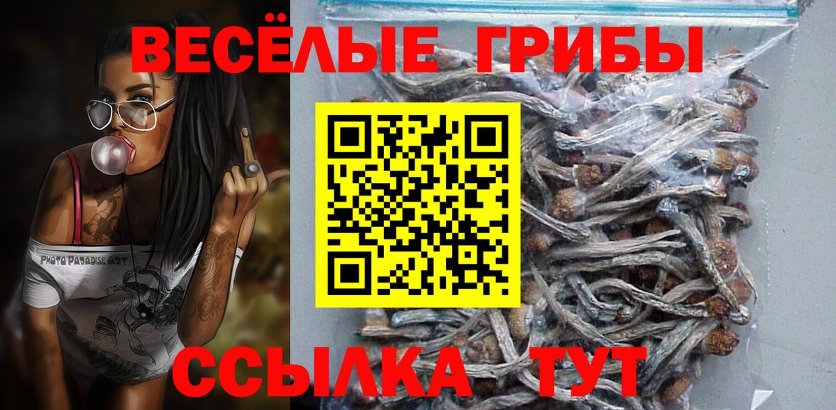 Галлюциногенные грибы прущие грибы Апшеронск