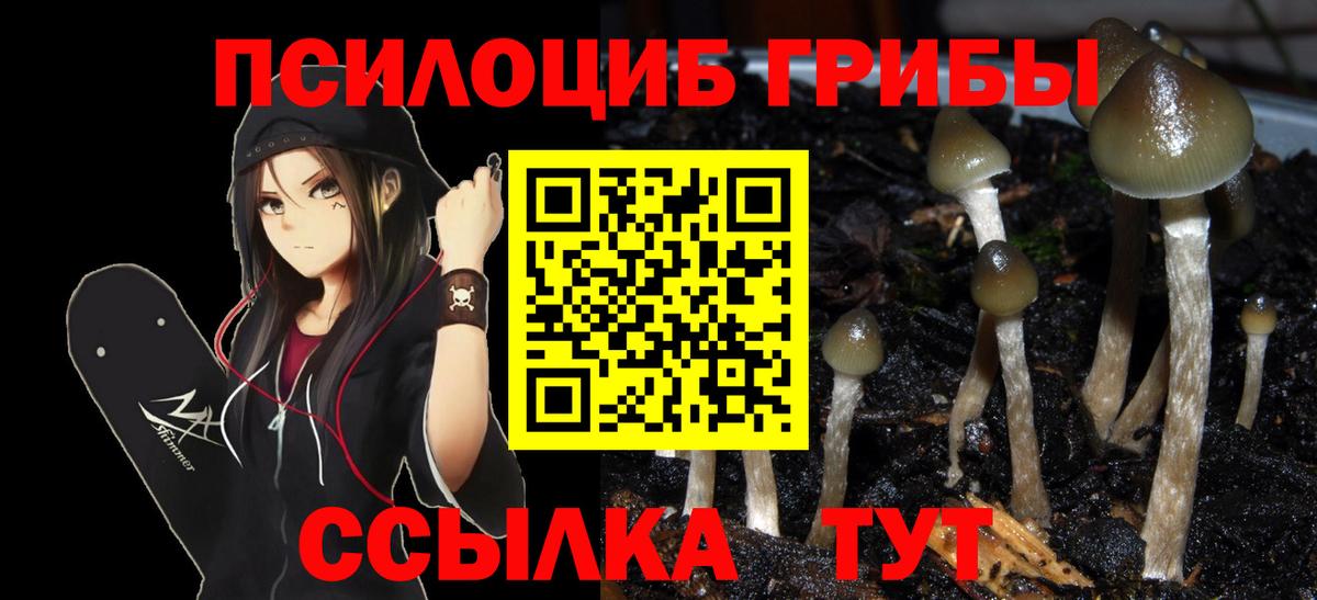 Псилоцибиновые грибы ЛСД  Апшеронск 
