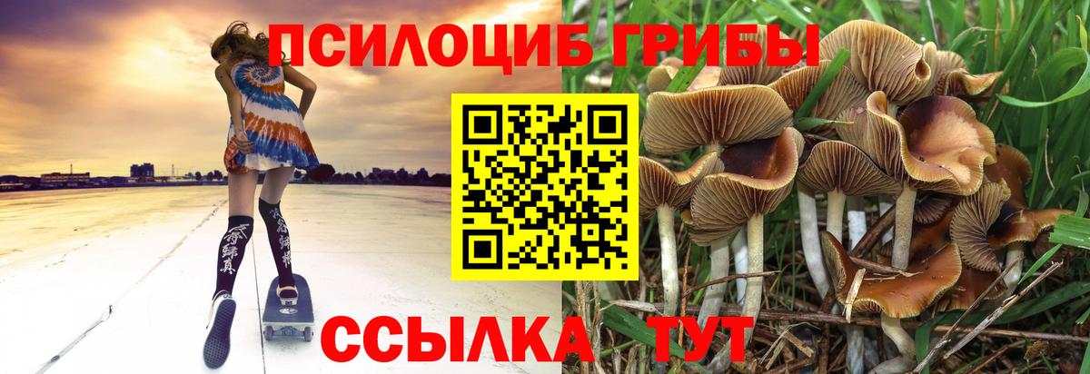 Галлюциногенные грибы прущие грибы  Галлюциногенные грибы мицелий  Апшеронск  купить наркотик  Вход с VPN 